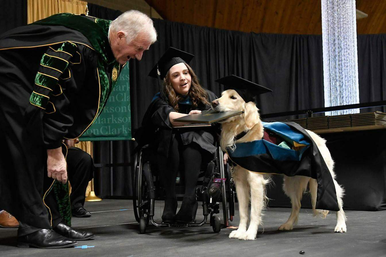 Cão recebe diploma honorário de universidade por ajudar aluna cadeirante nos EUA