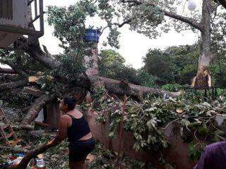 Temporal com ventos fortes destelha casas e derruba torre de internet