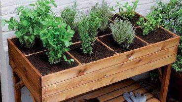 Passo a Passo: aprenda a fazer sua própria horta orgânica em casa