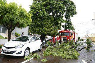 Galho de árvore cai durante ventania e estraga carro e moto ‘chique' estacionados