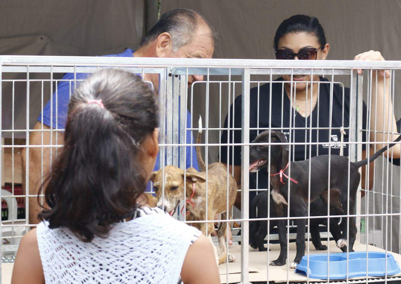 Reviva Cultural é mantido com mais serviços, mas atrai pouco público