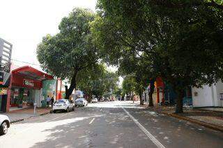 Bombeiros fecham rua para cortar árvore e trânsito no centro fica caótico