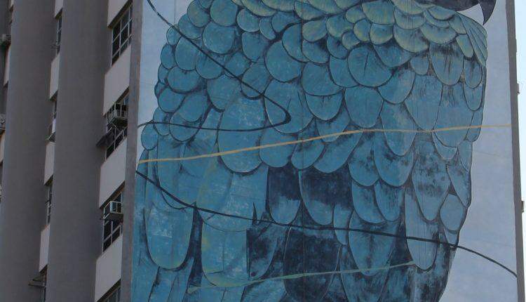 19 anos depois, 'araronas' pintadas em prédios de Campo Grande serão restauradas