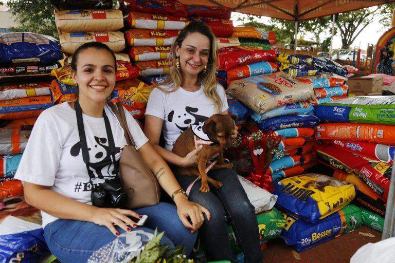 Ação Conjunta irá ajudar 600 animais de abrigos da Capital