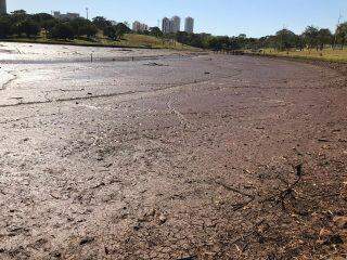 Lago do Parque das Nações Indígenas seco impressiona moradores da região