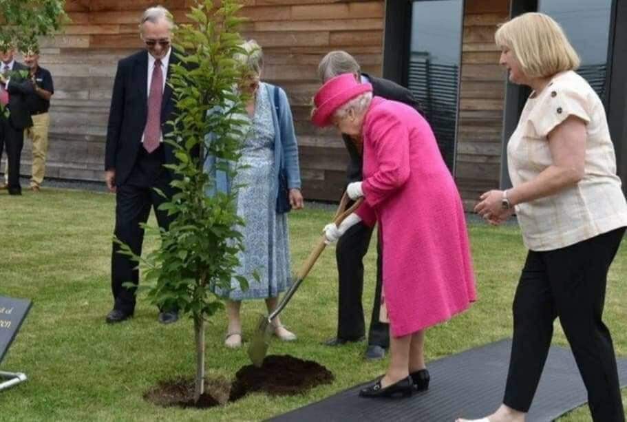 Rainha Elizabeth II planta árvore aos 93 anos.