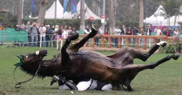 Brasileiro quebra braço e três costelas após queda com cavalo no Pan Americano