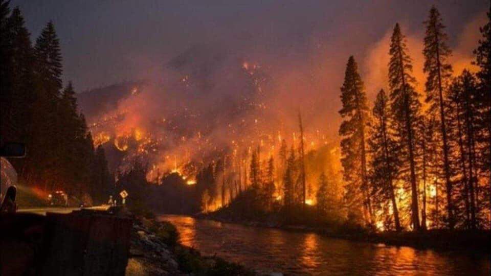 Incêndios florestais devastam Sibéria