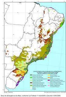 Operação vai fiscalizar desmatamento da Mata Atlântica em 20 cidades de MS