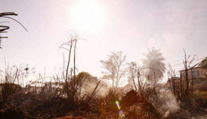 #Retrospectiva: O ano de queimadas fora de controle em Mato Grosso do Sul