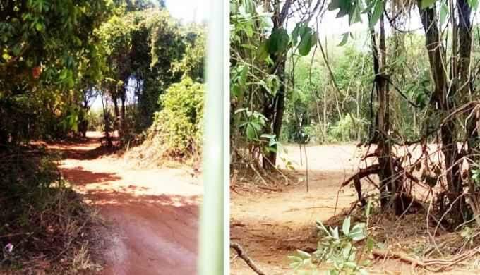 Grupo protesta contra desmatamento no Parque dos Poderes