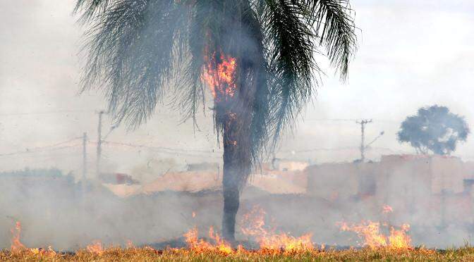 #Retrospectiva: O ano de queimadas fora de controle em Mato Grosso do Sul