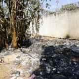 Incêndio no Aeroporto Internacional destruiu 2,5 hectares de vegetação
