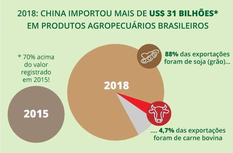Ministra assina acordos com a China e diz que Brasil pode oferecer muito mais