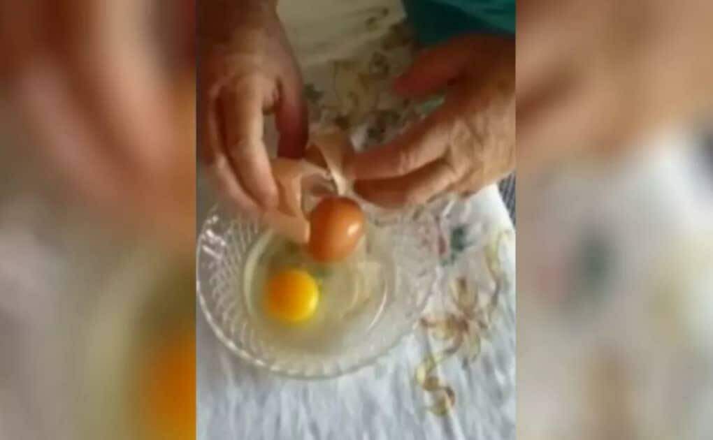 Galinha bota ovo dentro de outro ovo gigante e surpreende criador em Jataí