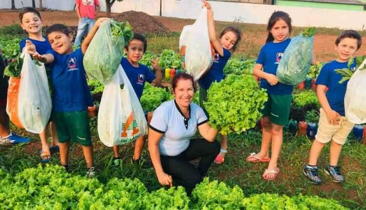 'Horta Generosa' de escola municipal é finalista de programa do Senar-MS