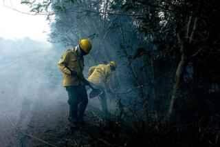 Combate a incêndios no Pantanal se concentra em três regiões