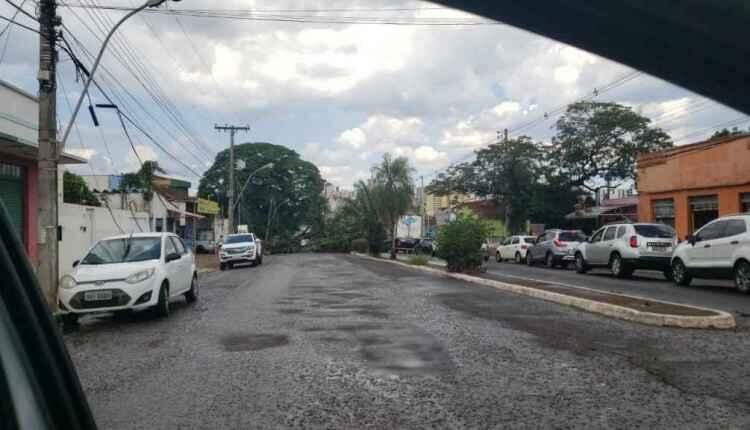 Chuvas isoladas causam ventania e queda de árvores em Campo Grande