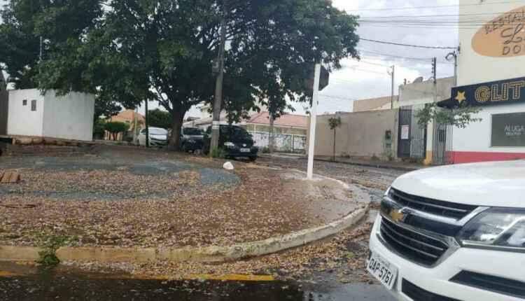 Chuvas isoladas causam ventania e queda de árvores em Campo Grande