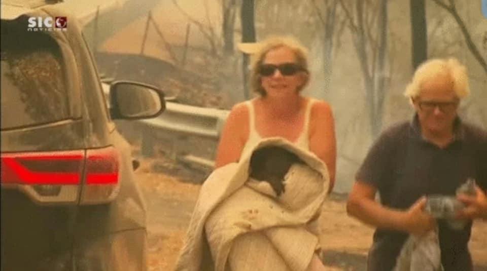 Australiana salvou coala que estava sendo engolido pelas chamas