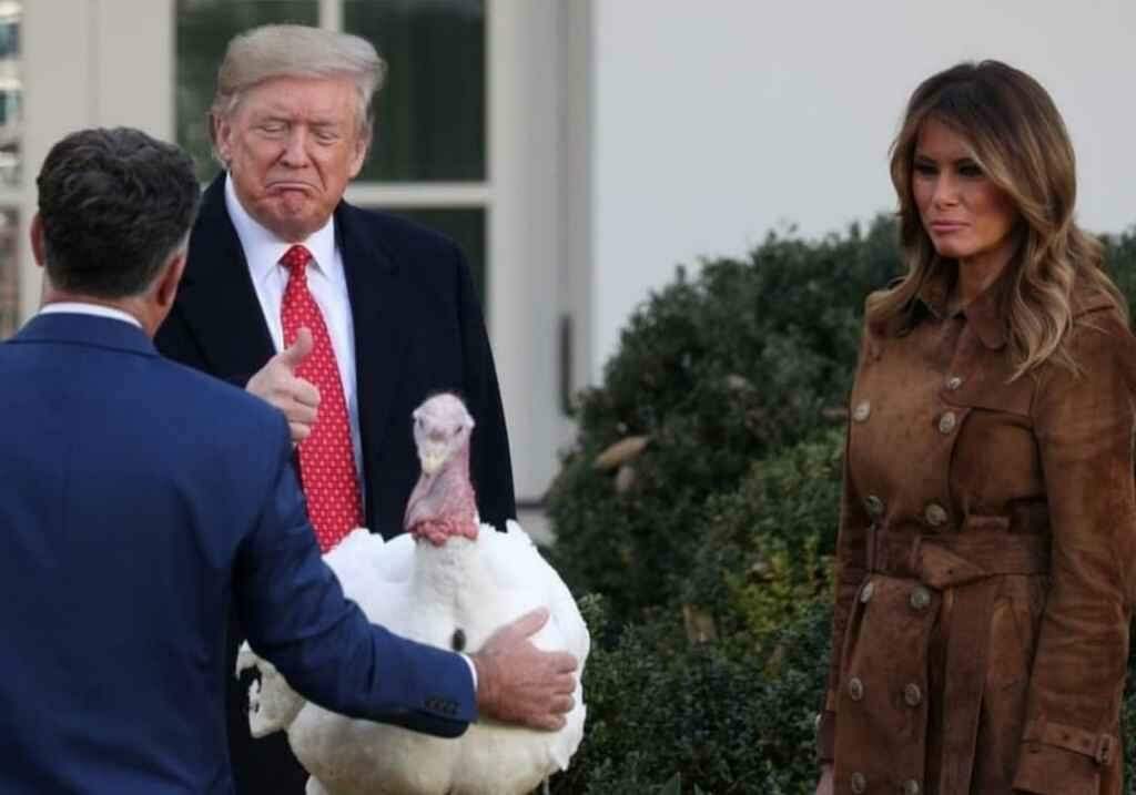 Trump 'perdoa' peru Butter às vésperas do Dia de Ação de Graças