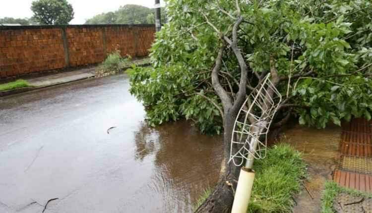 Chuva forte atinge vários bairros de Campo Grande e causa estragos
