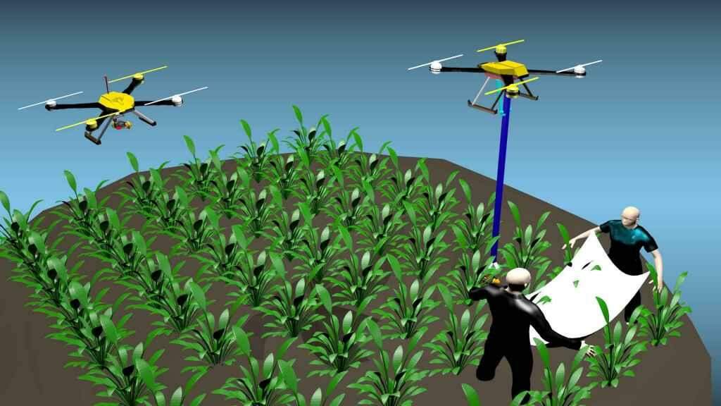 Tecnologia para drone desenvolvida por estudante de MS pode alavancar produção e reduzir uso de agrotóxicos