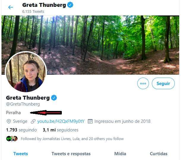 Após ser chamada de pirralha por Bolsonaro, Greta Thunberg responde com ironia