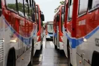 Micro-ônibus são entregues e começam a rodar em linhas com poucos passageiros