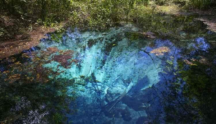 De carro ou de avião, confira atrações ecológicas de Bonito