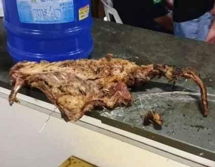 'Rinha' de cães com churrasco dos animais mortos é descoberta em SP