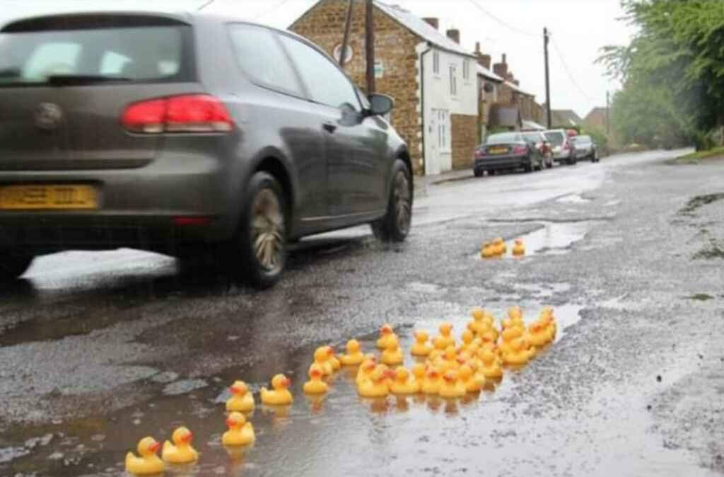 Moradores enchem buracos nas ruas com patos de borracha