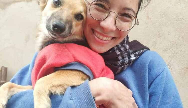 Só amor não basta: ONGs e protetores relatam desafio para profissionalização em resgates