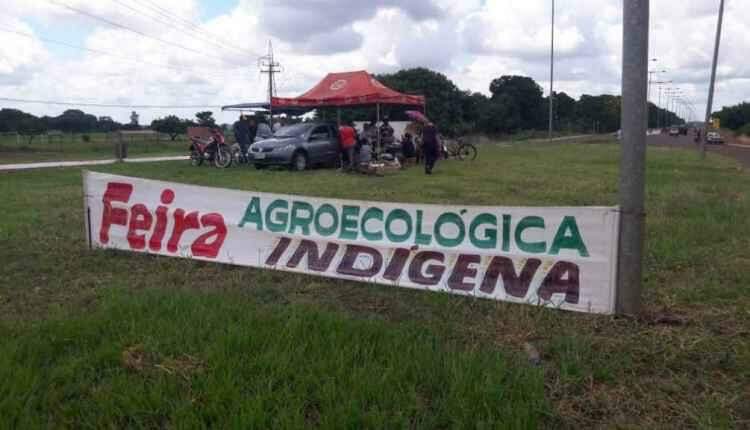Feira agroecológica fortalece laços entre indígenas das maiores aldeias de MS