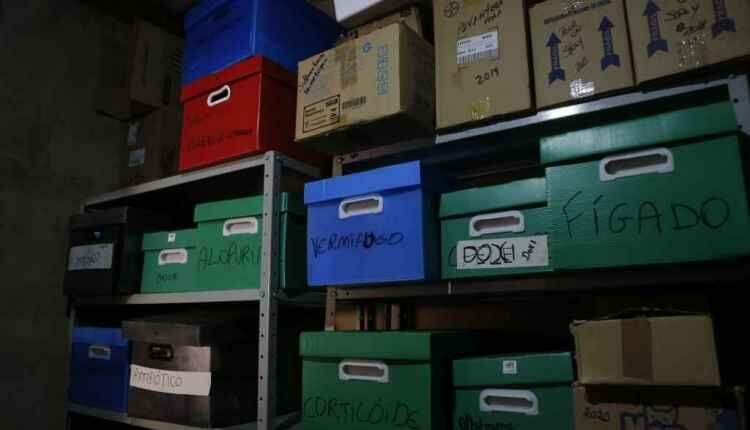 Só amor não basta: ONGs e protetores relatam desafio para profissionalização em resgates