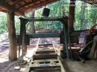 Idoso é multado em R$ 6 mil por desmatar e usar madeira para construir casa