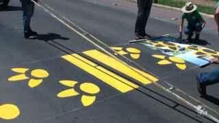 Capifaixa: Cidade de MS cria faixa para alertar motoristas e proteger capivaras