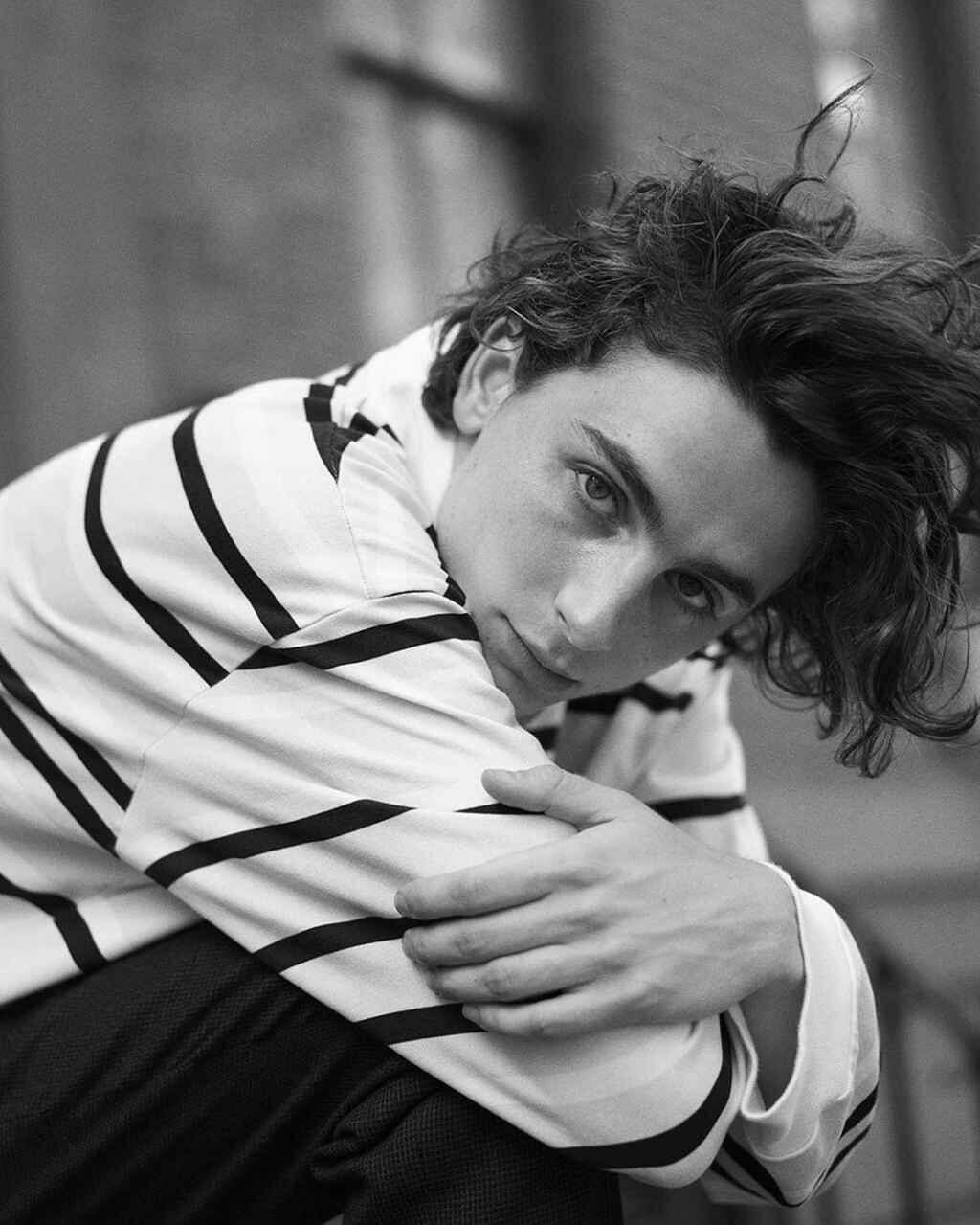 Timothée Chalamet deve interpretar Bob Dylan no cinema