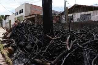 VÍDEO: Desconhecido coloca fogo em restos de árvore e quase incendeia casa
