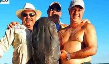 'Tem que ser apurado', diz deputado de Bolsonaro sobre manobra de Reinaldo para esquentar pescaria