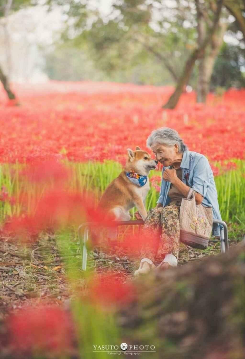 Neto captura imagens incríveis e emocionantes da amizade de sua avó com seu cão
