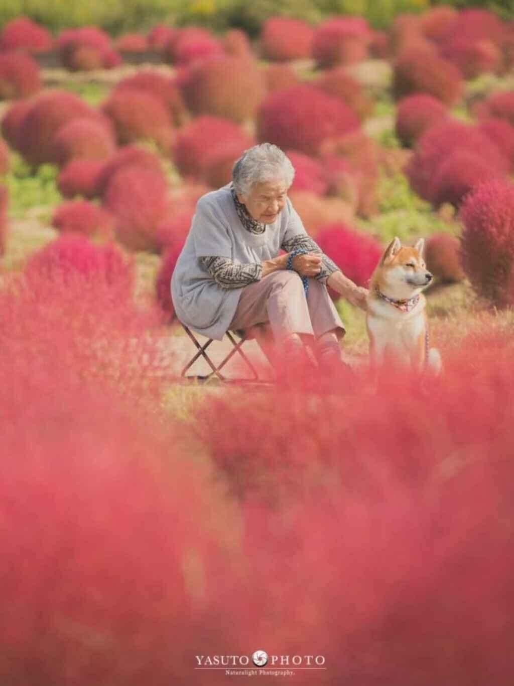 Neto captura imagens incríveis e emocionantes da amizade de sua avó com seu cão