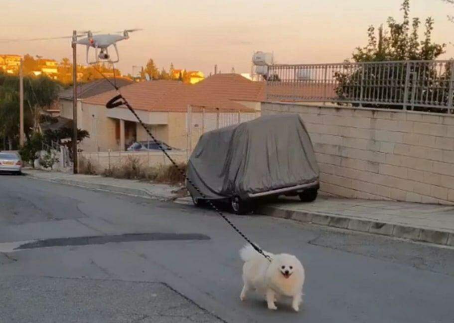 Drone leva cão para homem a prisão por coronavírus em Chipre