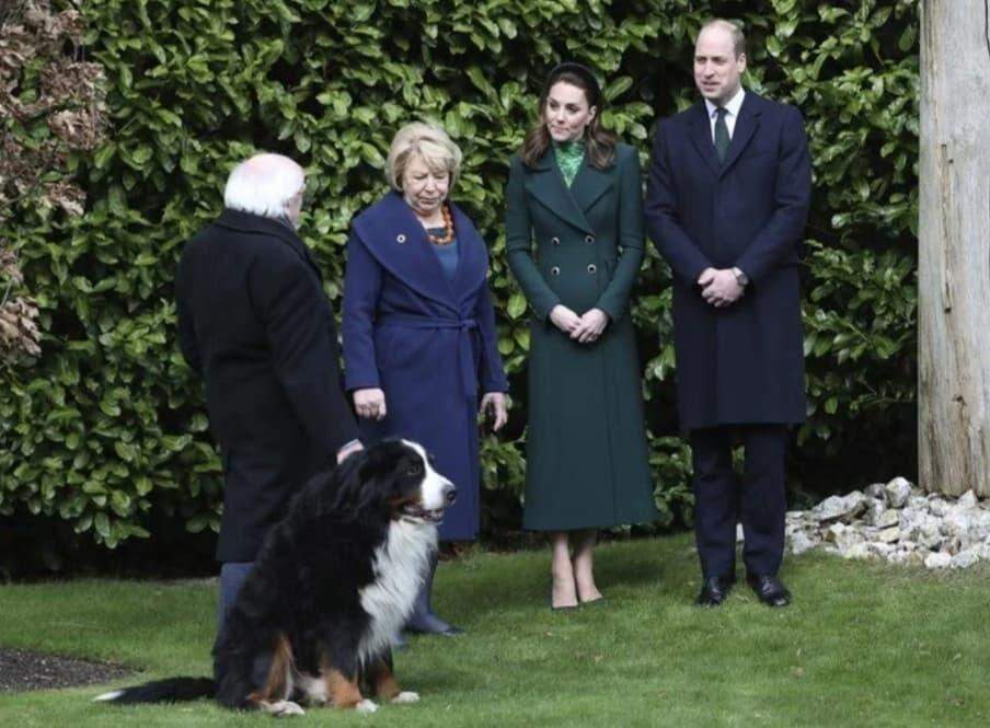 Cão de presidente irlandês invade evento oficial à procura do dono.