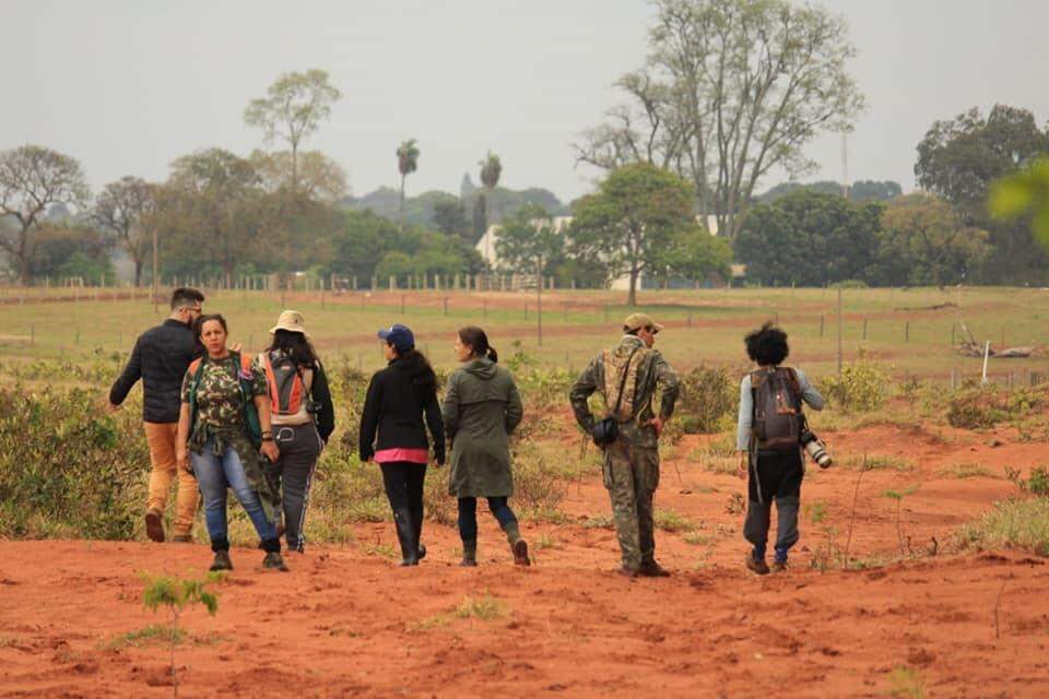 'Pássaros da janela' é o tema de evento mundial que acontece em Campo Grande