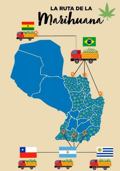 Levantamento reforça Mato Grosso do Sul como principal rota da maconha
