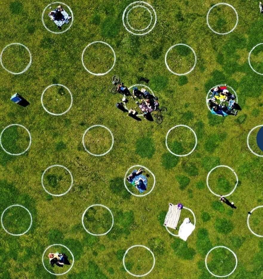 Parques nos EUA usam círculos para manter distanciamento social.