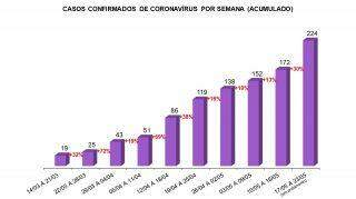 perfil de contaminados por coronavírus, Campo Grande, aumento do número de casos de coronavírus, Covid-19