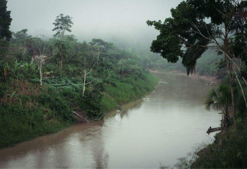 Tribo da Amazônia vence processo contra madeireiros ilegais: US $ 3 milhões em compensação