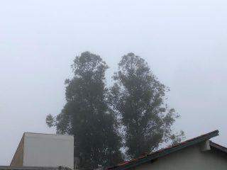 Domingo amanhece com 9ºC e neblina encobre céu de Campo Grande pela manhã